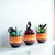 Tiny Pukeko Pot Plant Decoration - Black Steel