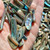 Paua Shell pcs Jewellery Highly Polished - 100gms