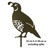Male Quail Garden Art – Corten Steel
