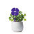 Mini Poppy Garden Art – Purple Steel