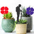 Mini Poppy Garden Art – Purple Steel
