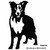 Border Collie Metal Wall Art – Black Steel