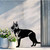 German Shepherd Metal Wall Art – Black Steel