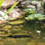 Large Eel Garden Art – Black Steel
