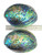 Trophy Paua Shell