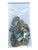 Highly Polished Paua Pieces with 3mm holes