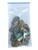 Highly Polished Pāua Shell Pieces with 3mm Holes – Pack of 10