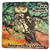 Ruru Morepork Colourful Bamboo Coaster
