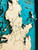 Coromandel Peninsula Small Bamboo Art Map