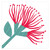 Pohutukawa Coaster