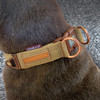 EzyDog  Collar Double Up S Corduroy