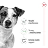 Royal Canin Dog Can Mini Adult 12x195g