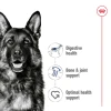 Royal Canin Dog Can Maxi Adult 12x410g 