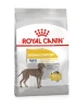 Royal Canin Dog Adult Maxi Dermacomfort 12Kg