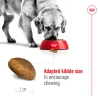 Royal Canin Dog Adult Maxi 4Kg