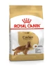 Royal Canin Dog Cocker Spaniel 12Kg