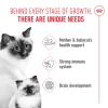 Royal Canin Cat Mother & BabyCat 4kg