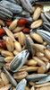 Avigrain - Cocky Mix 20Kg