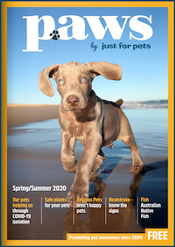 Paws Magazine by Just For Pets