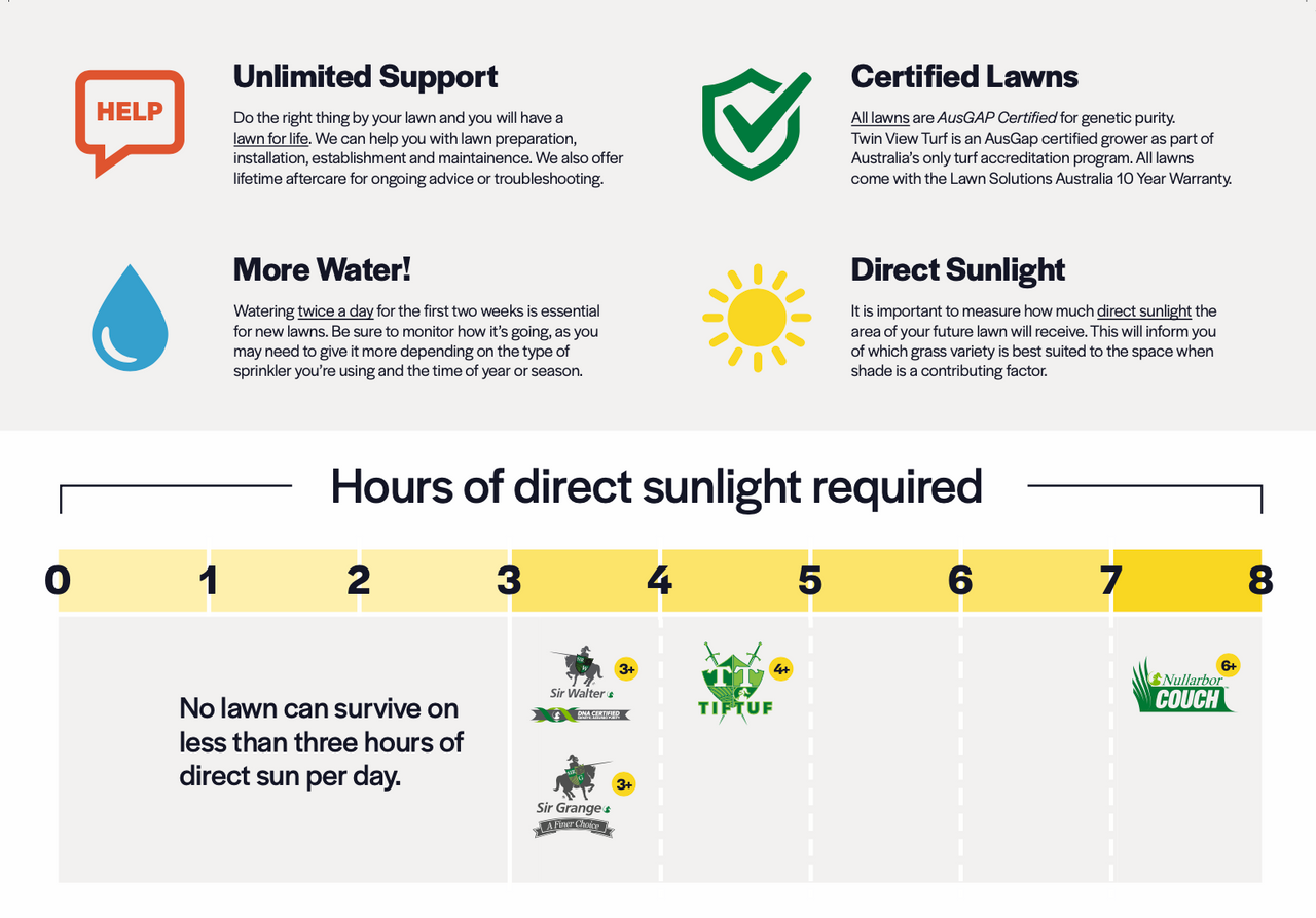Sir Grange Turf Zoysia p/m2
