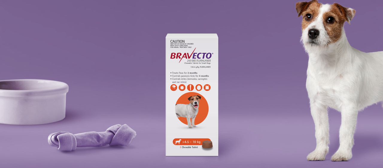 Bravecto Chew for Dogs 4.5-10Kg - Mooey's Pty Ltd