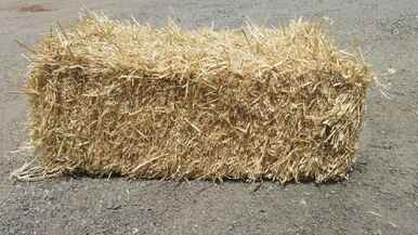 Straw Bale