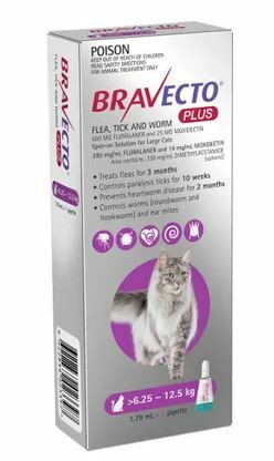 Bravecto Plus Cat Spot On 6.25-12.5KG 1PK