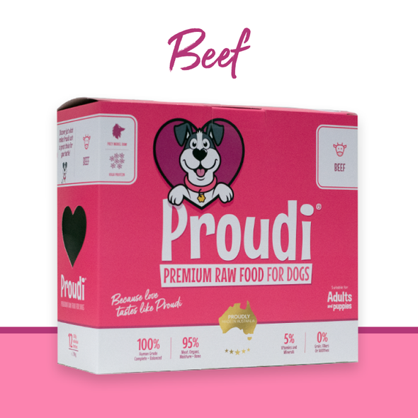 Proudi Dog Beef 12x200g Portions