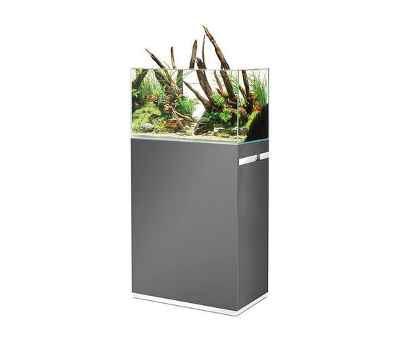 OASE ScaperLine 60L Grey