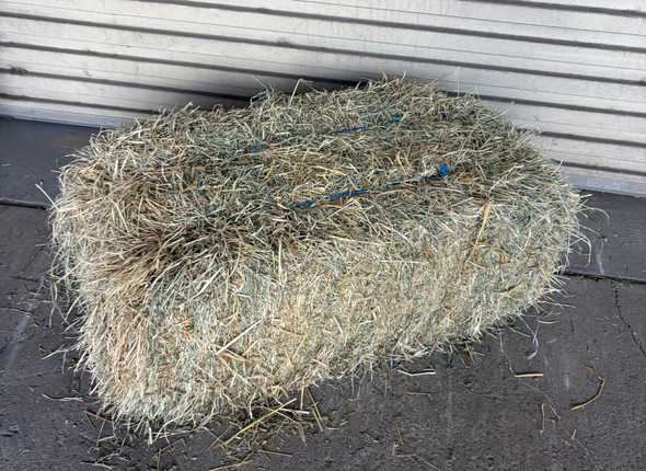Rhodes Grass Hay Bale