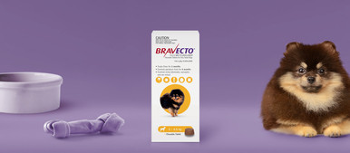 Bravecto Chew for Dogs 2-4.5Kg