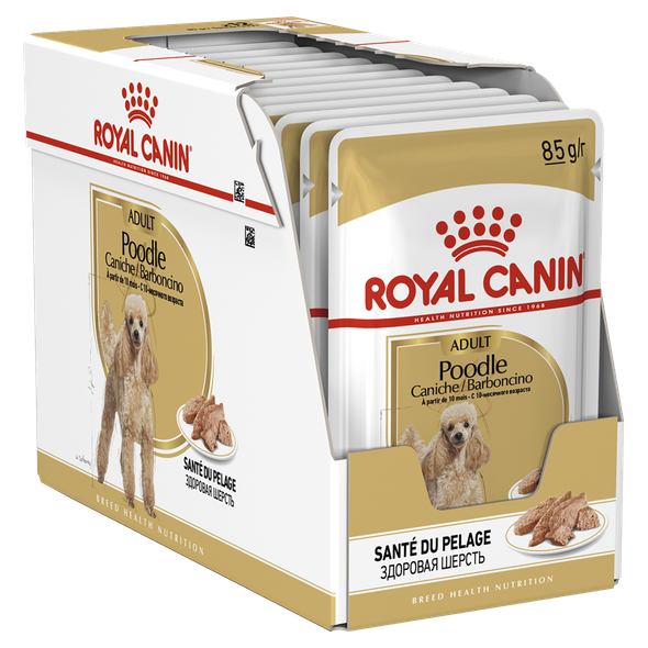 Royal Canin Dog Wet Poodle 85G X 12