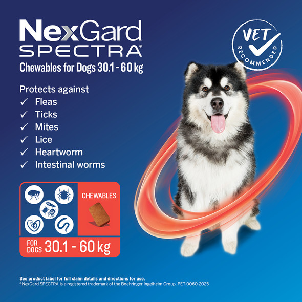 NexGard Spectra 30.1-60Kg 6Pk