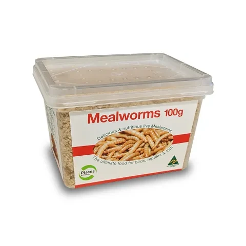 Pisces Live Food - Mealworms 100G Tub