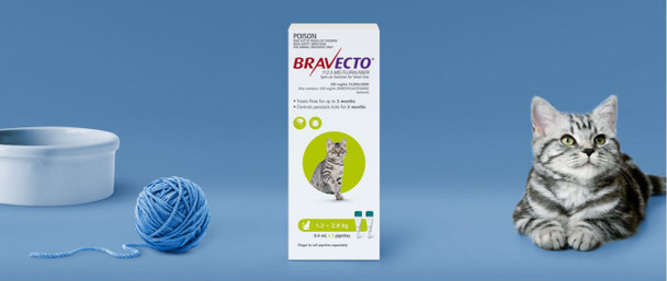 Bravecto Cat Spot On 1.2-2.8Kg 2Pk