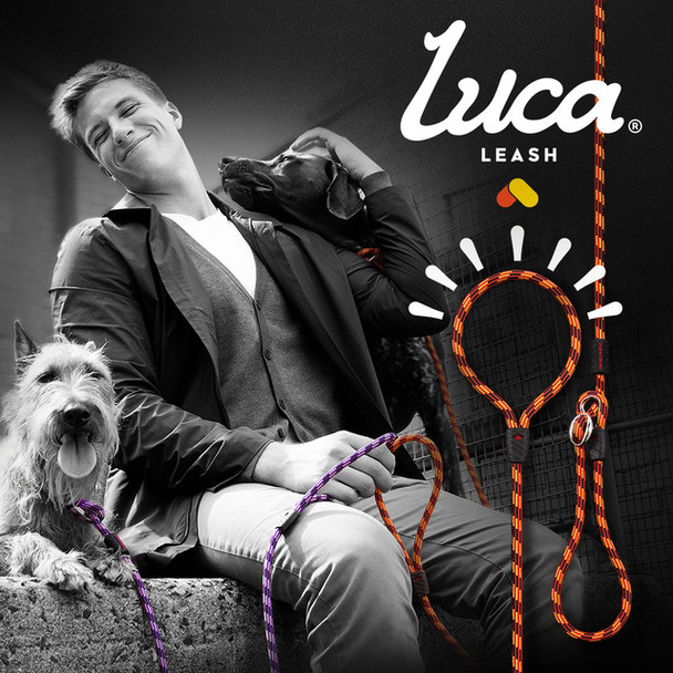 EzyDog  Leash Luca 67" Black