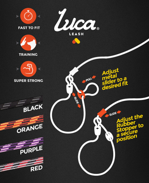 EzyDog  Leash Luca 67" Black