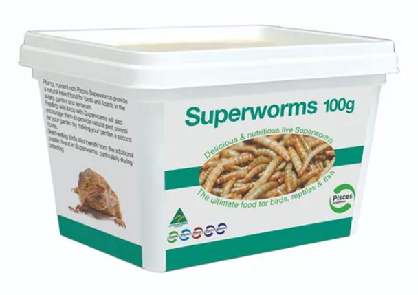 Pisces Live Food - Superworms 100G Tub