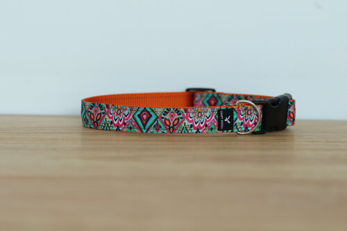 Soapy Moose Collar L Moroccan 