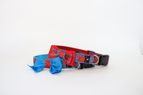 Soapy Moose Collar S Crabbies