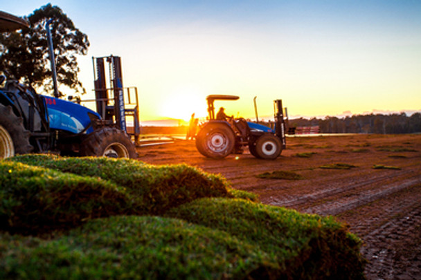 Nullabor Couch Turf p/m2