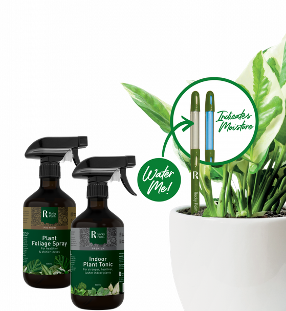 Rocky Point Indoor Plant Care Pack