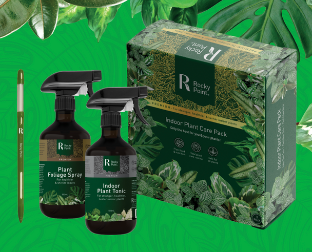 Rocky Point Indoor Plant Care Pack