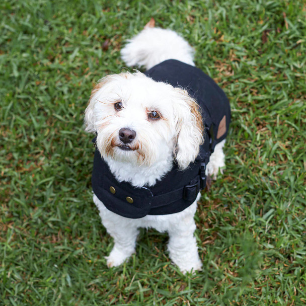 Aussie Oilskin Coat - Black Intermediate - 53cm