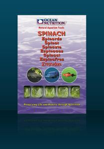 On Frozen Spinach 100G