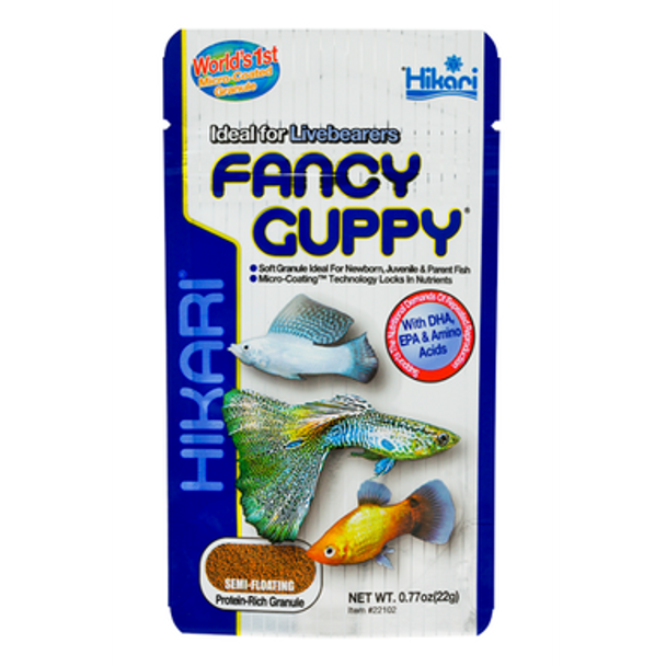 Hikari Fancy Guppy 22G