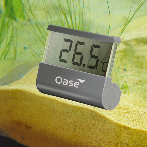 OASE Digital thermometer