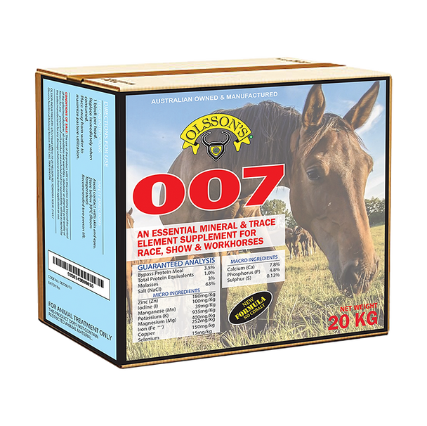 Olsson 007 Horse Lick Block 20kg