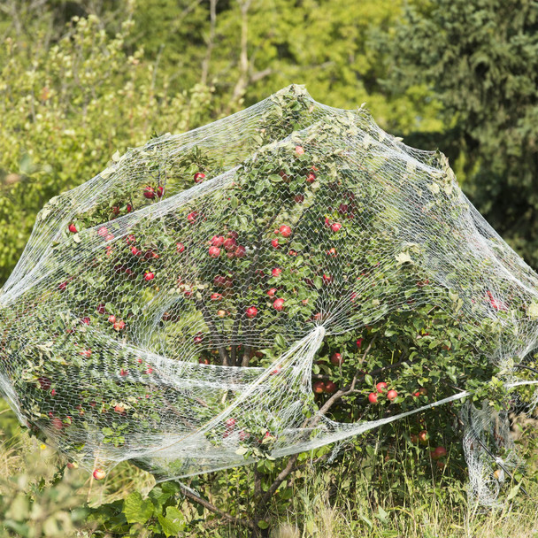 Abshade Anti Bird Net White 5mm 2.5m x 2.5m