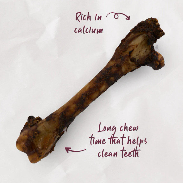 Kazoo Prime Cuts Kangaroo Shin Bone 1pc